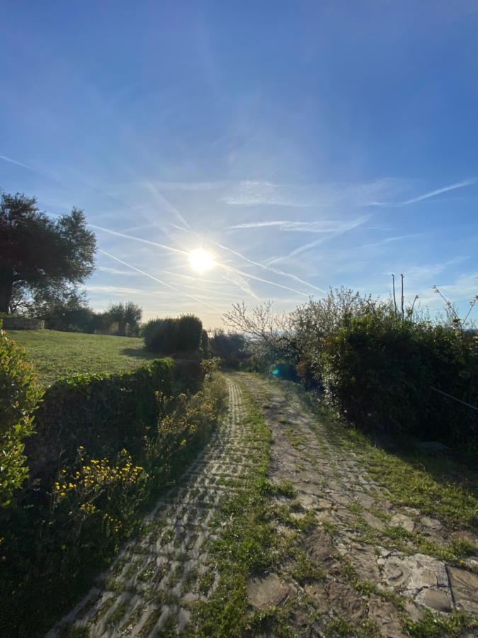 Rustico Althea - Immerso Nel Verde Civitanova Marche Εξωτερικό φωτογραφία